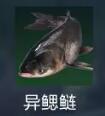 星球重启异鳃鲢在哪里钓 星球重启异鳃鲢位置分享