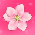 樱花直播平台下载安装最新版