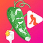 水果派app下载地址