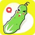 红桃视频.com