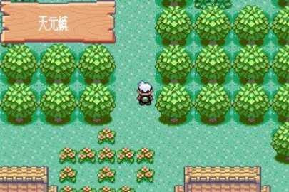 口袋妖怪模拟器0