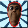 你迷路了_logo
